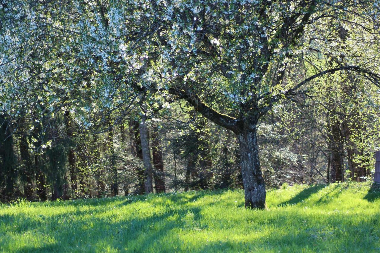 Naturparadies Silvia Alberschwende Extérieur photo